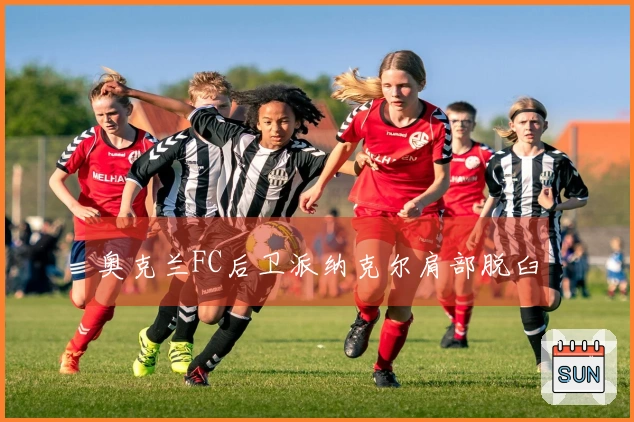 奥克兰FC后卫派纳克尔肩部脱臼