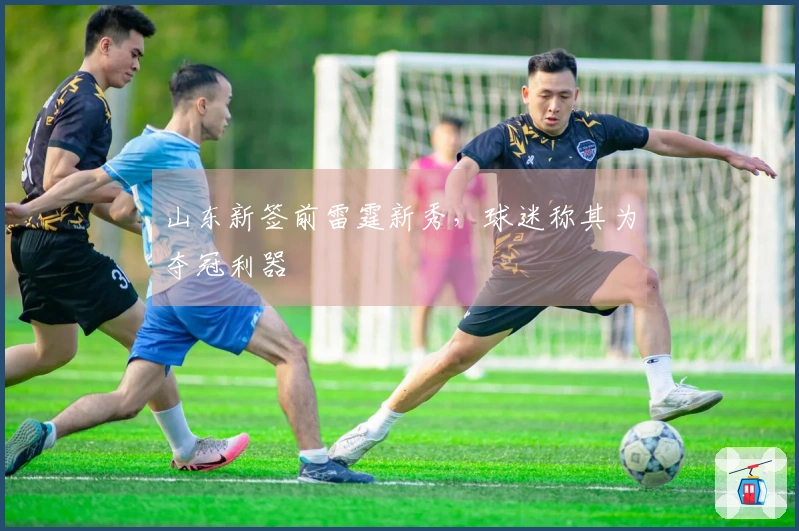 山东新签前雷霆新秀，球迷称其为夺冠利器