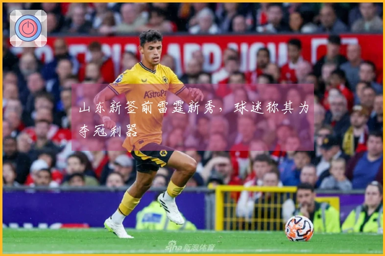 山东新签前雷霆新秀，球迷称其为夺冠利器